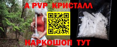 сатива Кунгур