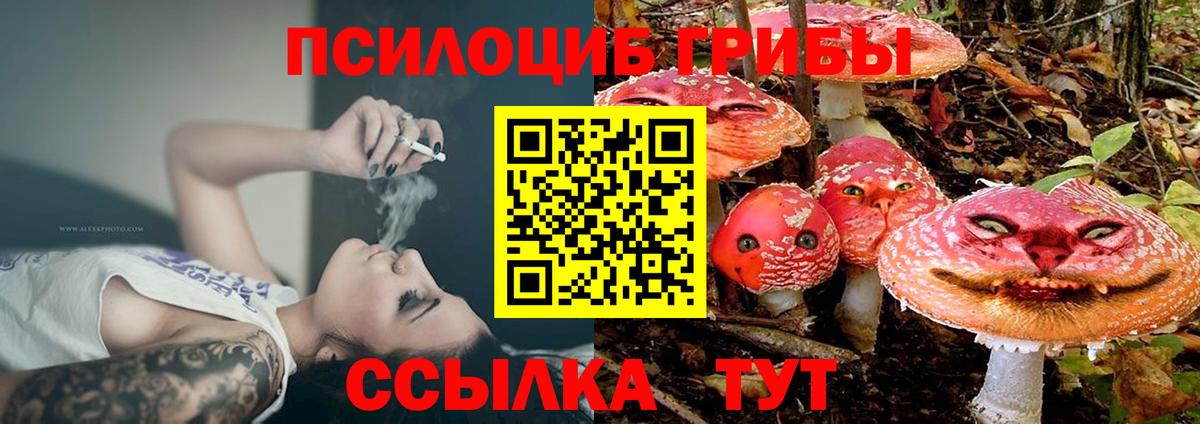 Ишимбай  Галлюциногенные грибы ЛСД  магазин продажи   Вход с VPN 