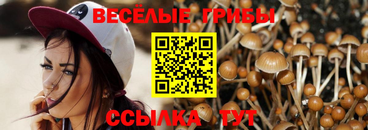 Галлюциногенные грибы мухоморы Ишимбай